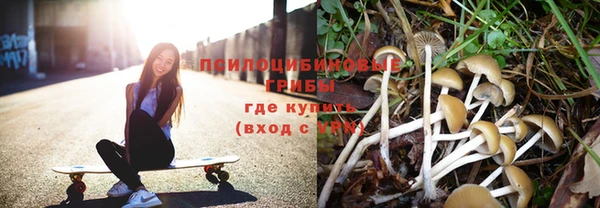 винт Козловка